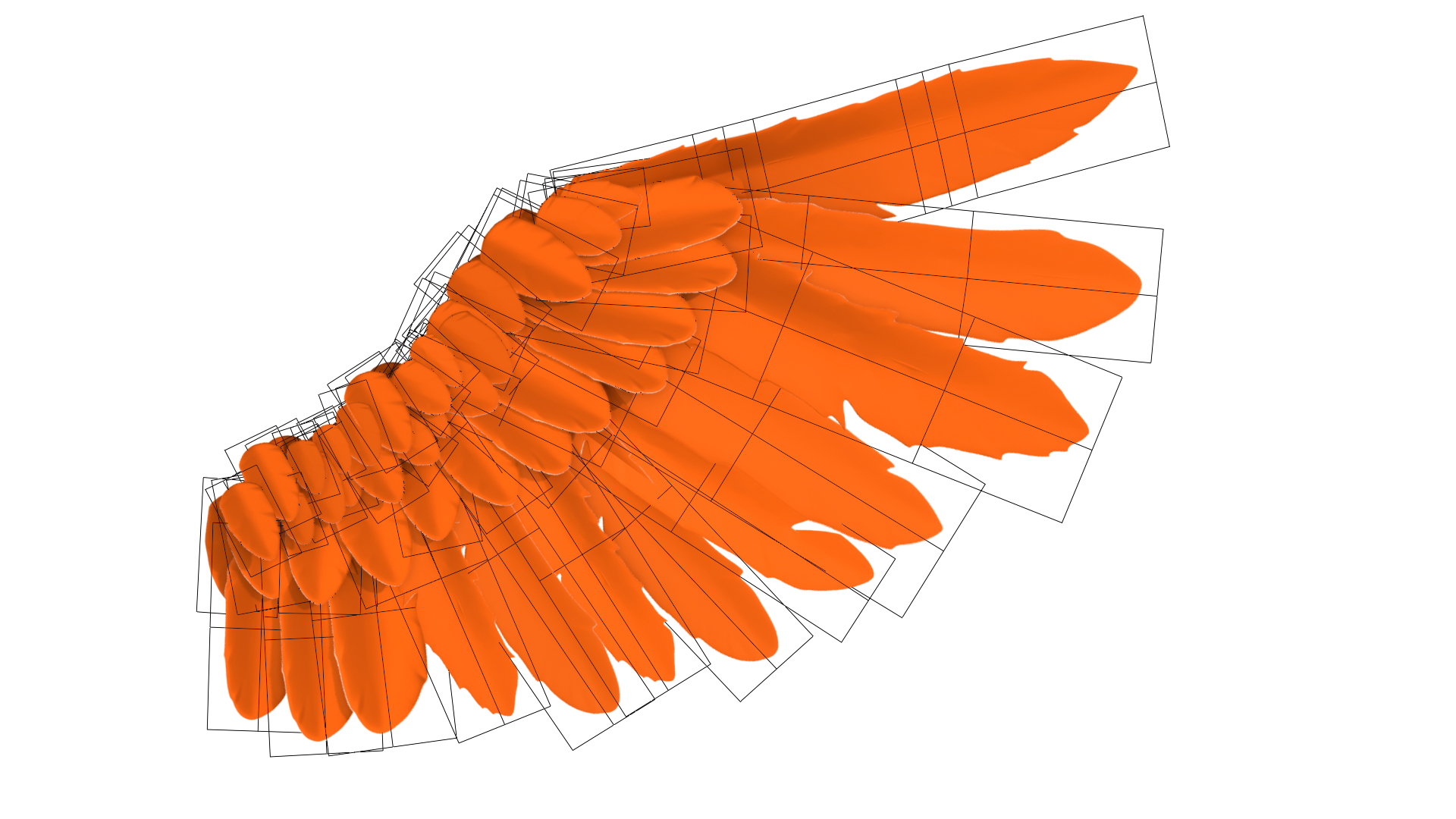 Owl wing asset